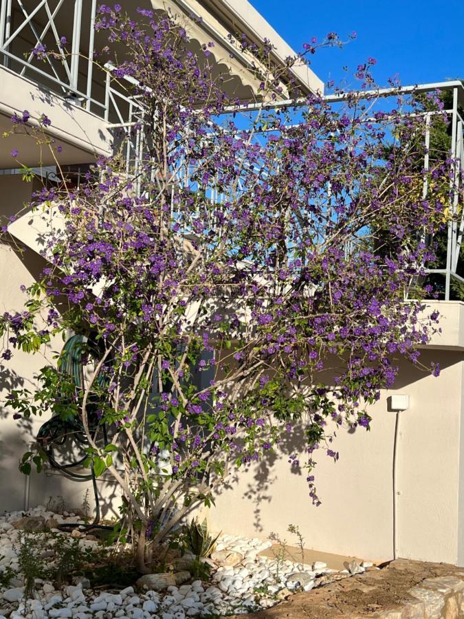 Villa Maxima Lavrio Thorikon Eksteriør billede